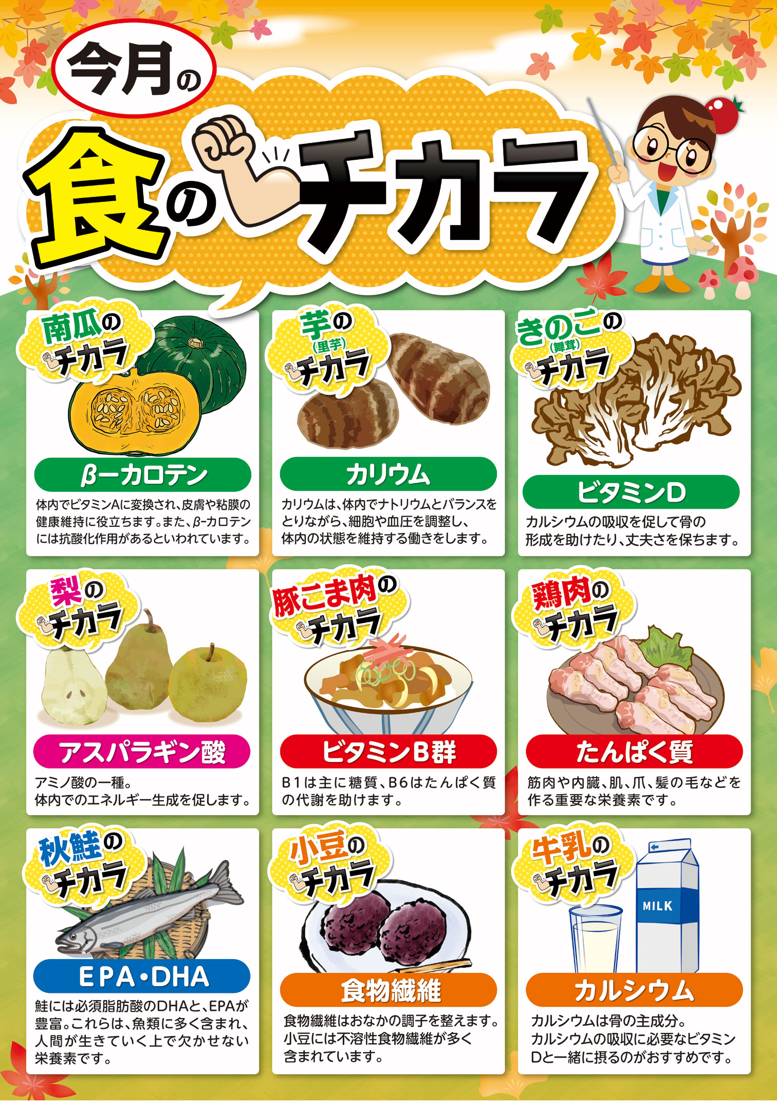 ９月の食のチカラ