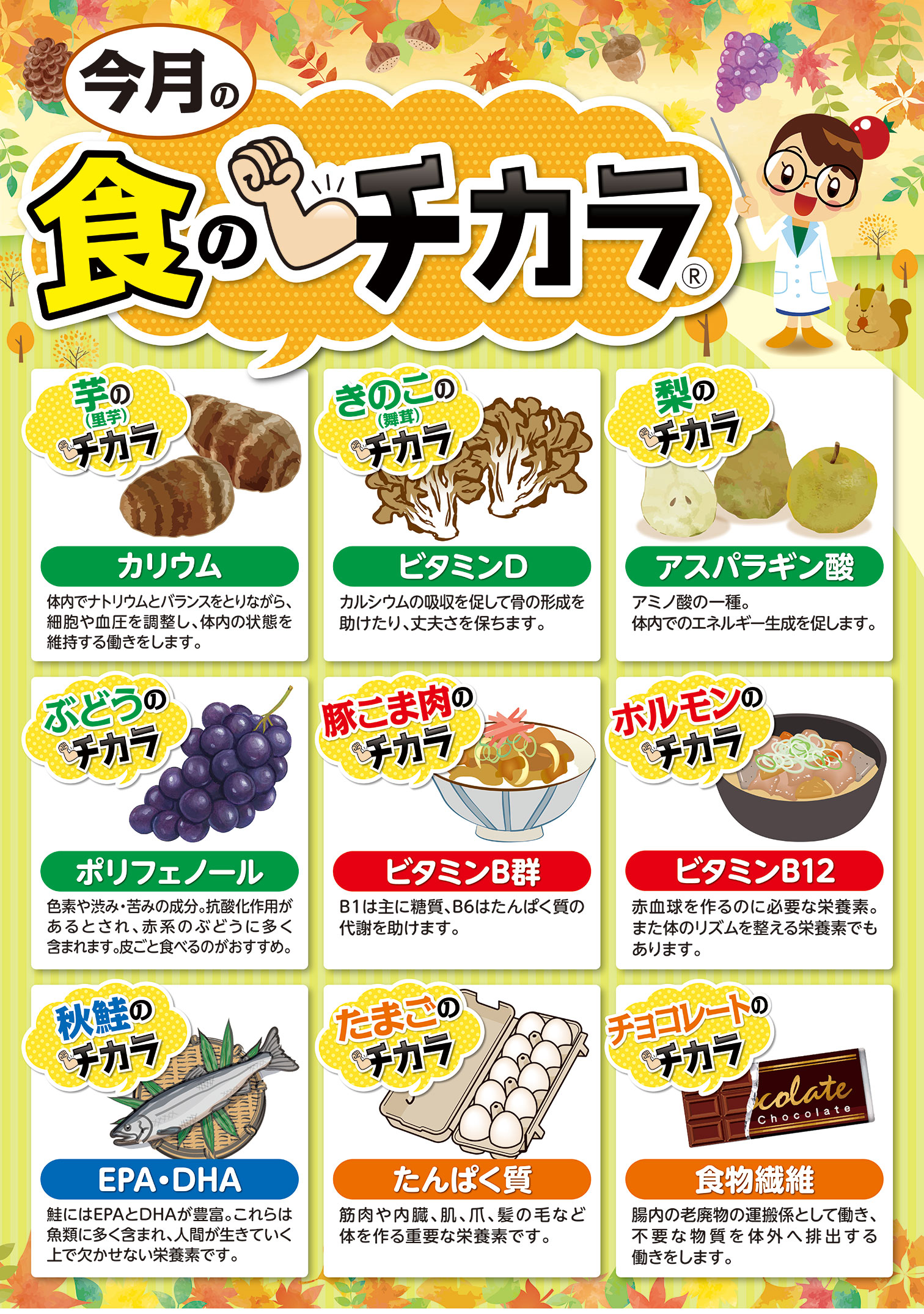 ９月の食のチカラ