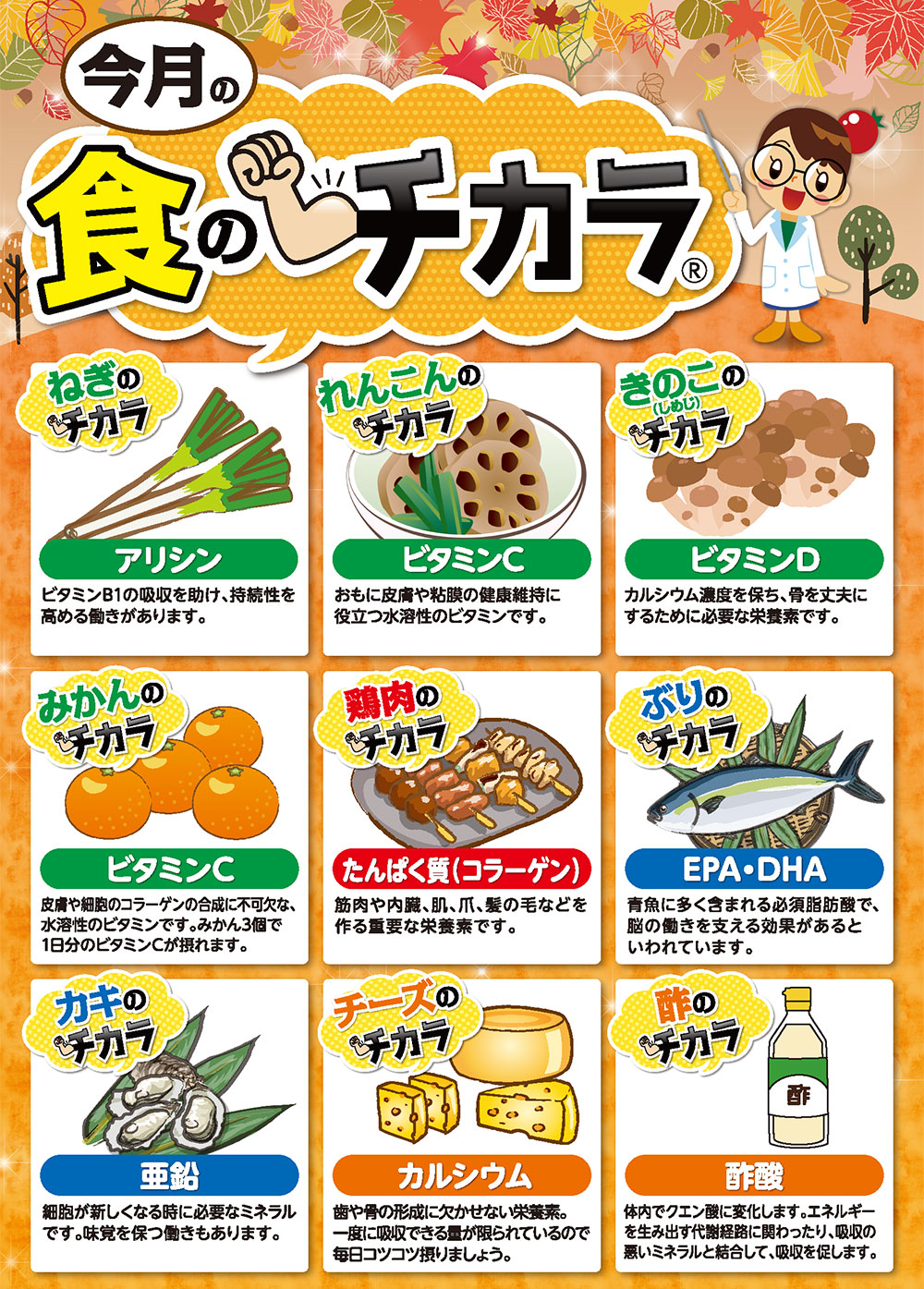 11月の食のチカラ