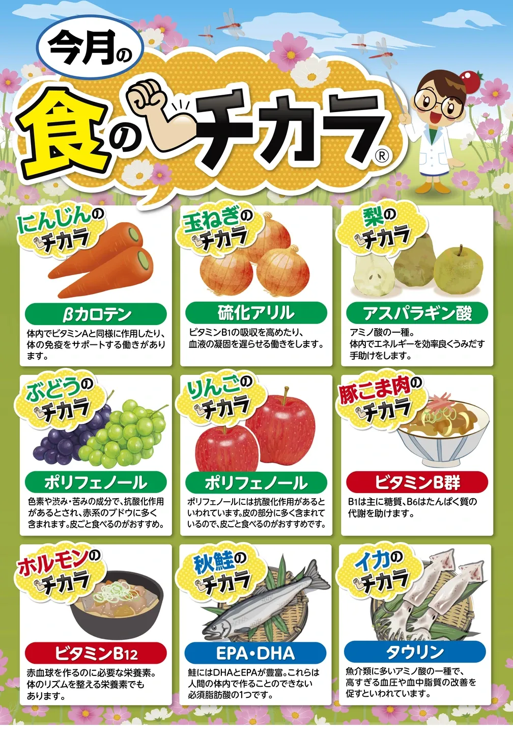 ９月の食のチカラ